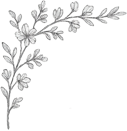 Top Left Flower Border